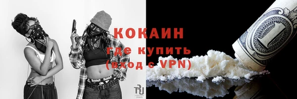 прущие грибы Балахна