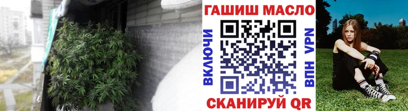 Купить где  Суровикино  ТГК концентрат 